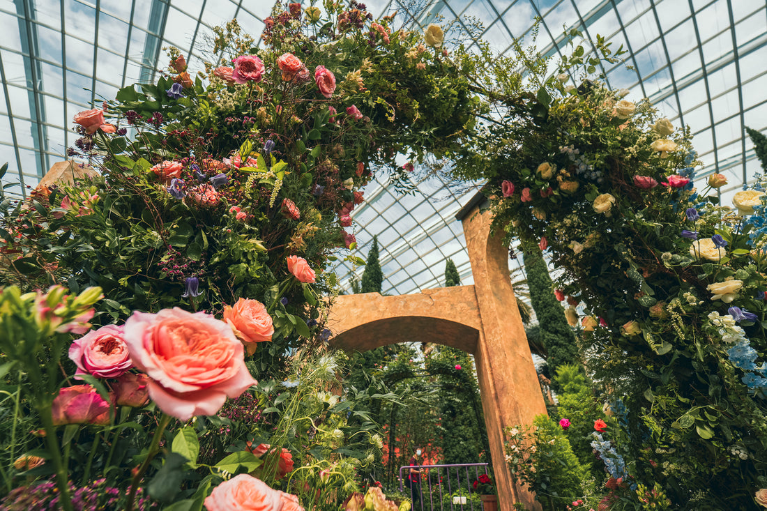 Growing Roses with Love: Tips for a Healthy and Rewarding Journey