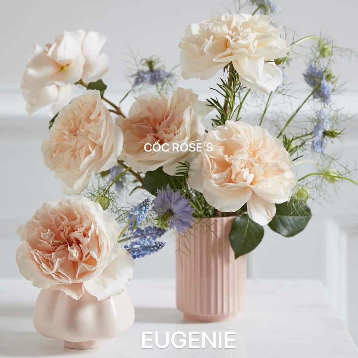 Eugenie