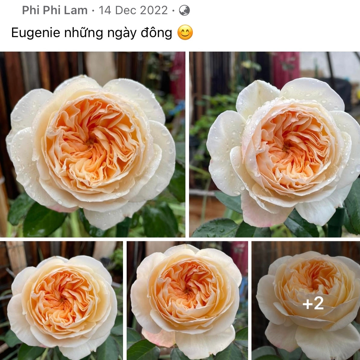 Eugenie