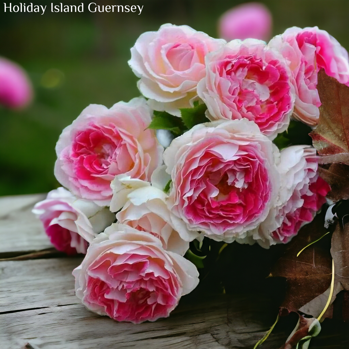 Holiday Island Guernsey