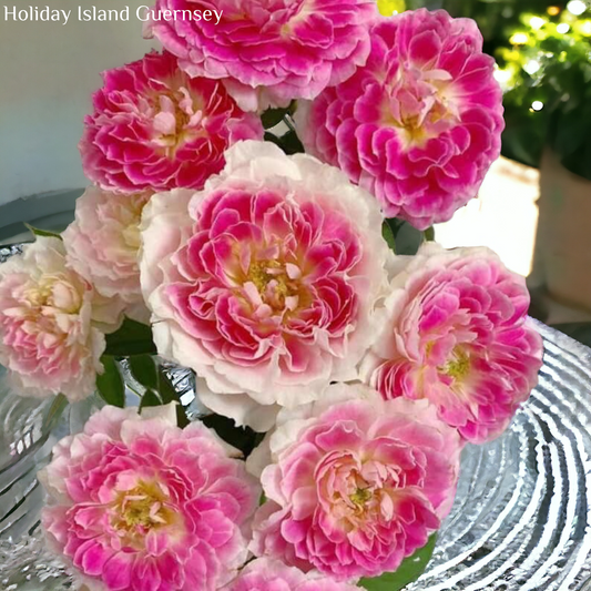 Holiday Island Guernsey