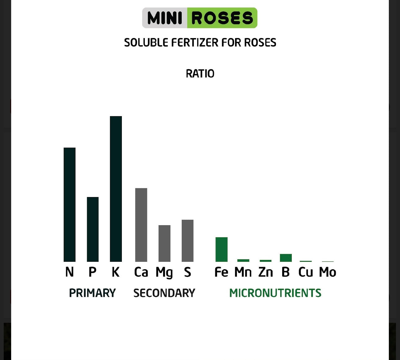 Combo AB Soluble Fertiliser Mini Roses