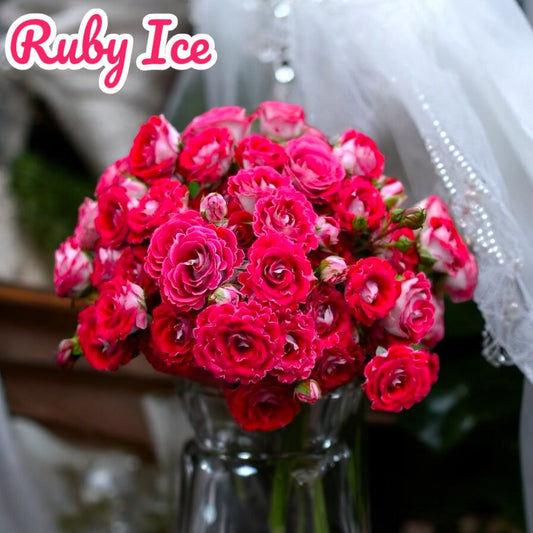 Ruby Ice