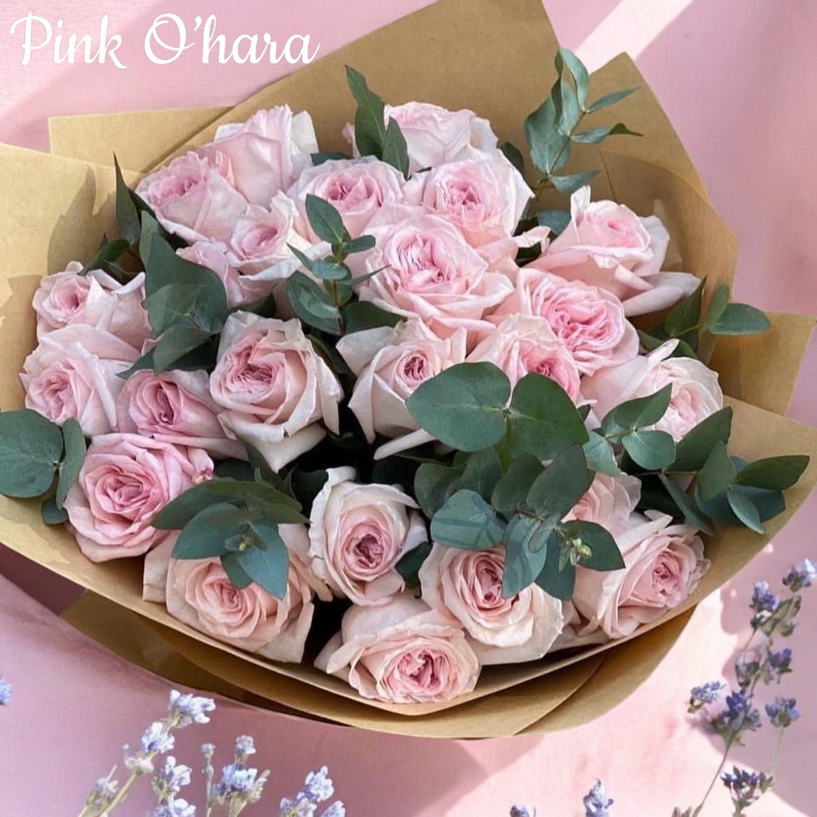 Pink O'Hara