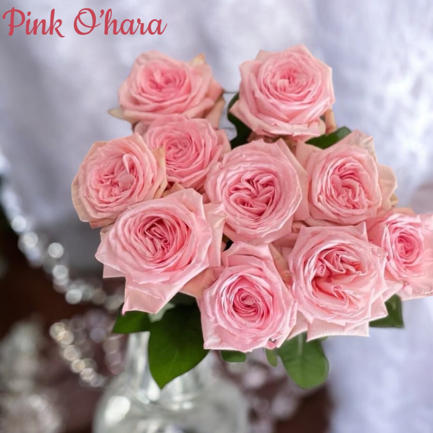 Pink O'Hara