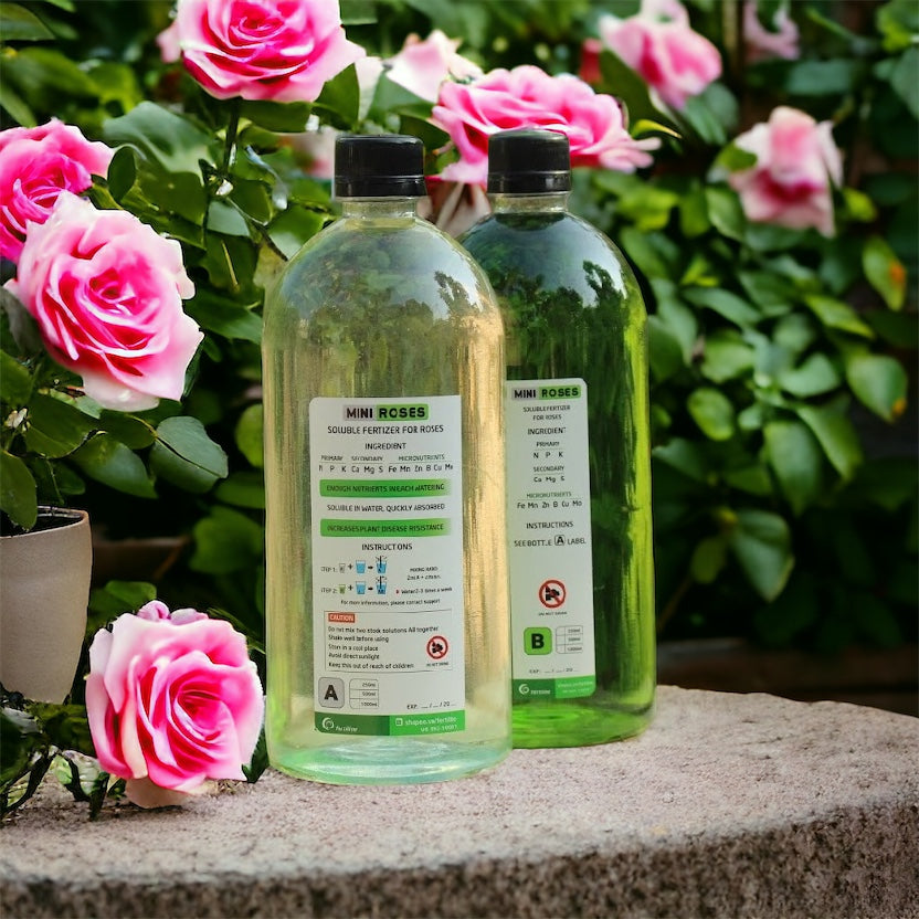 Combo AB Soluble Fertiliser Mini Roses