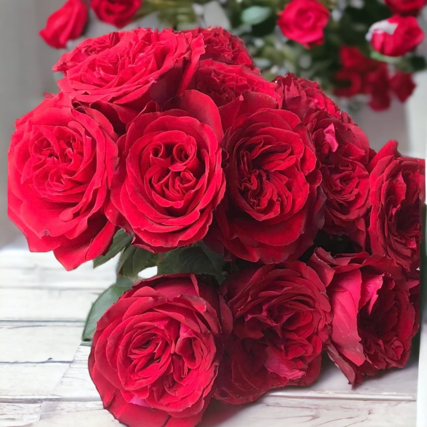 Red Ohara/ Red Elegance