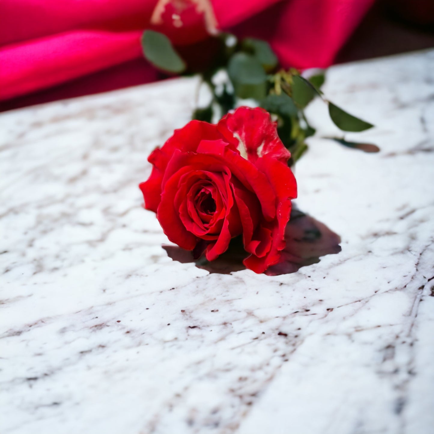 La Rose des Vents