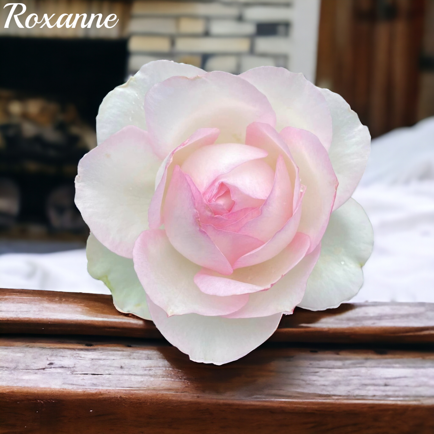 Roxanne