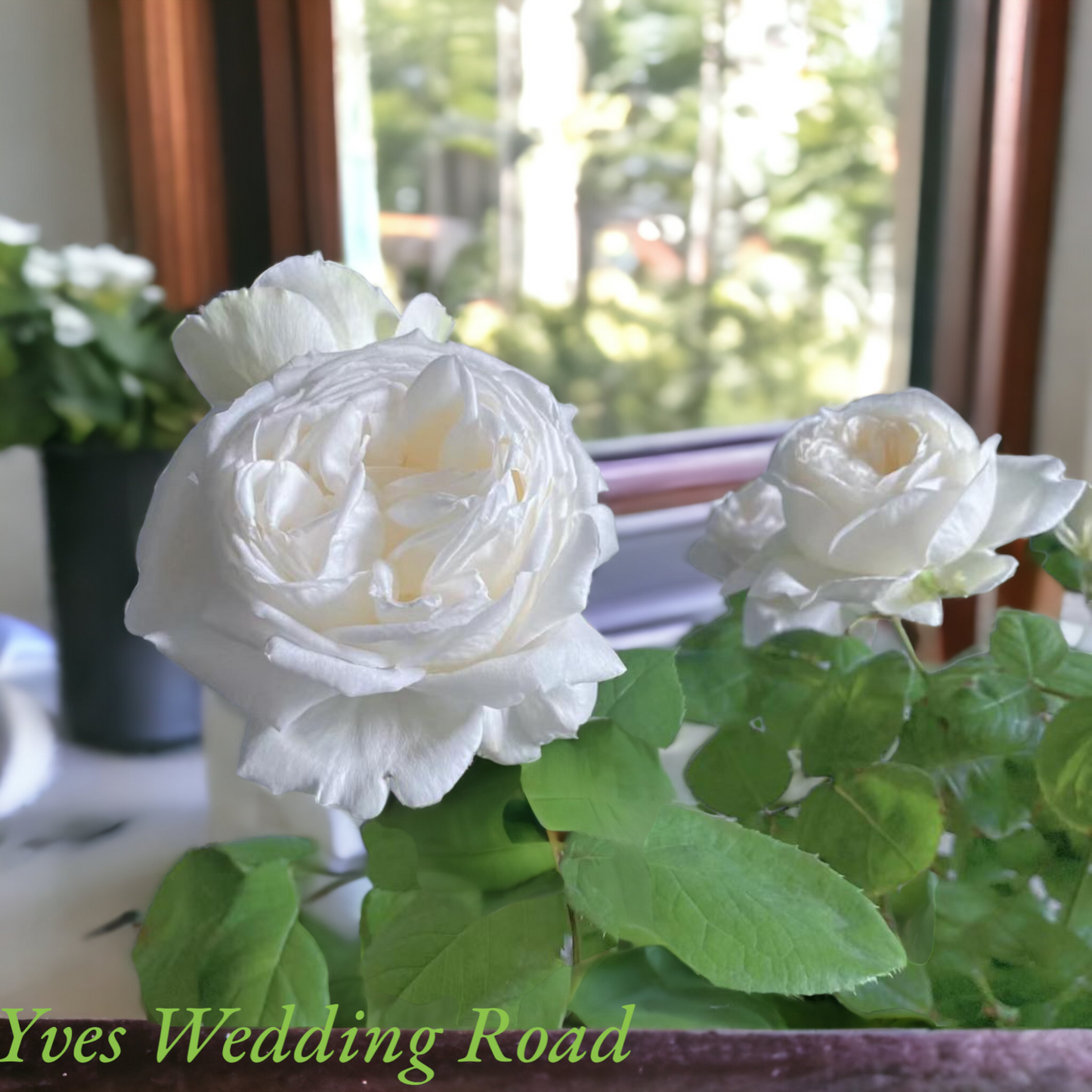Yves Wedding Road