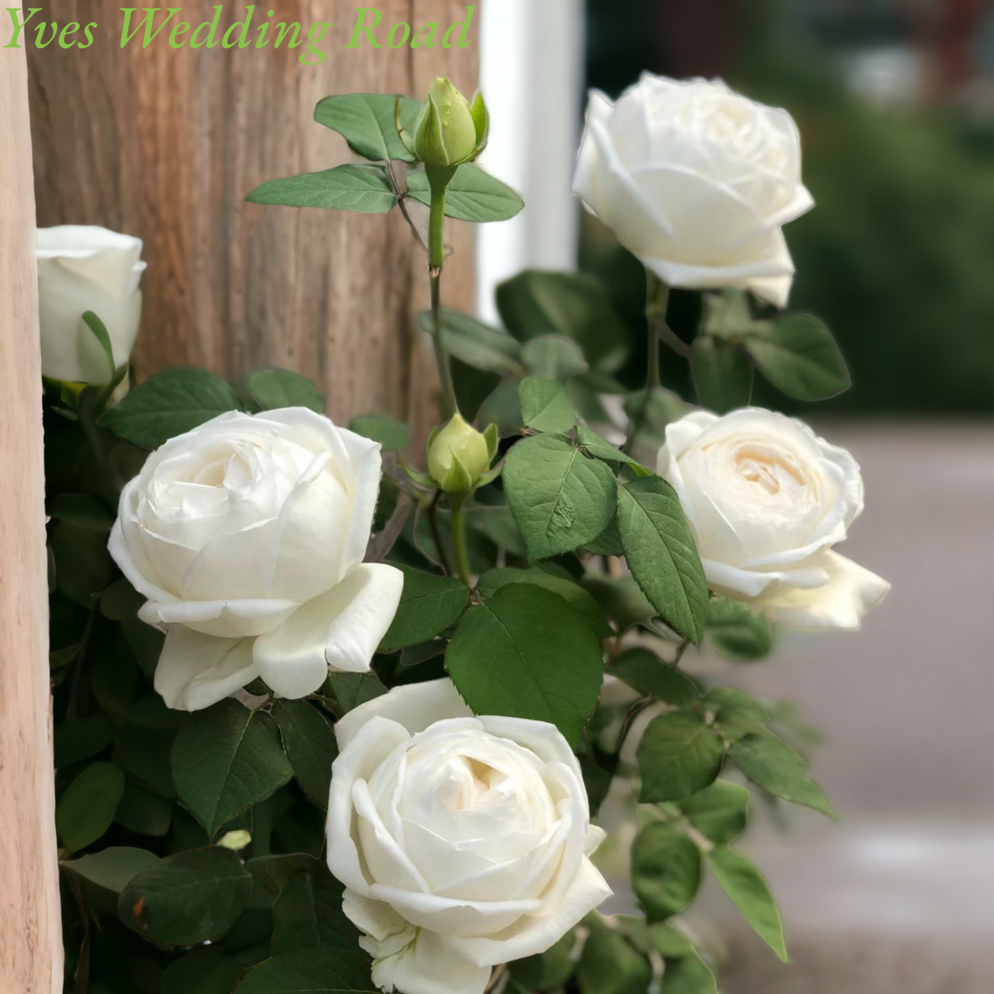 Yves Wedding Road