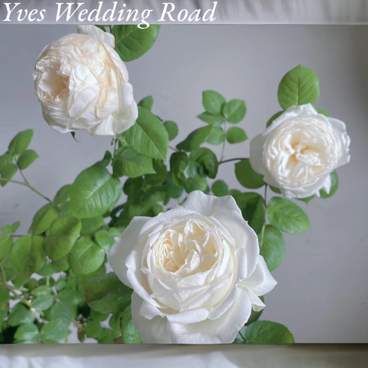 Yves Wedding Road