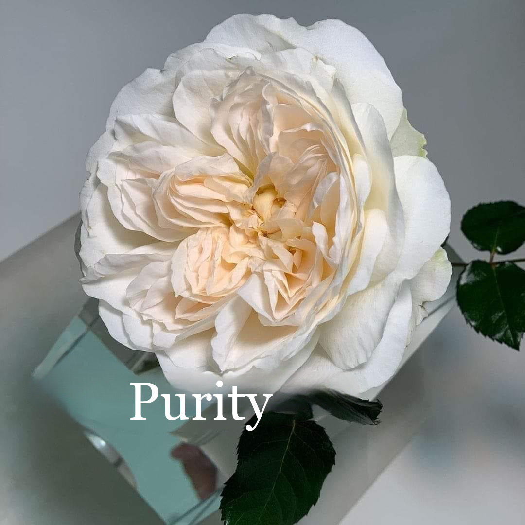 Purity