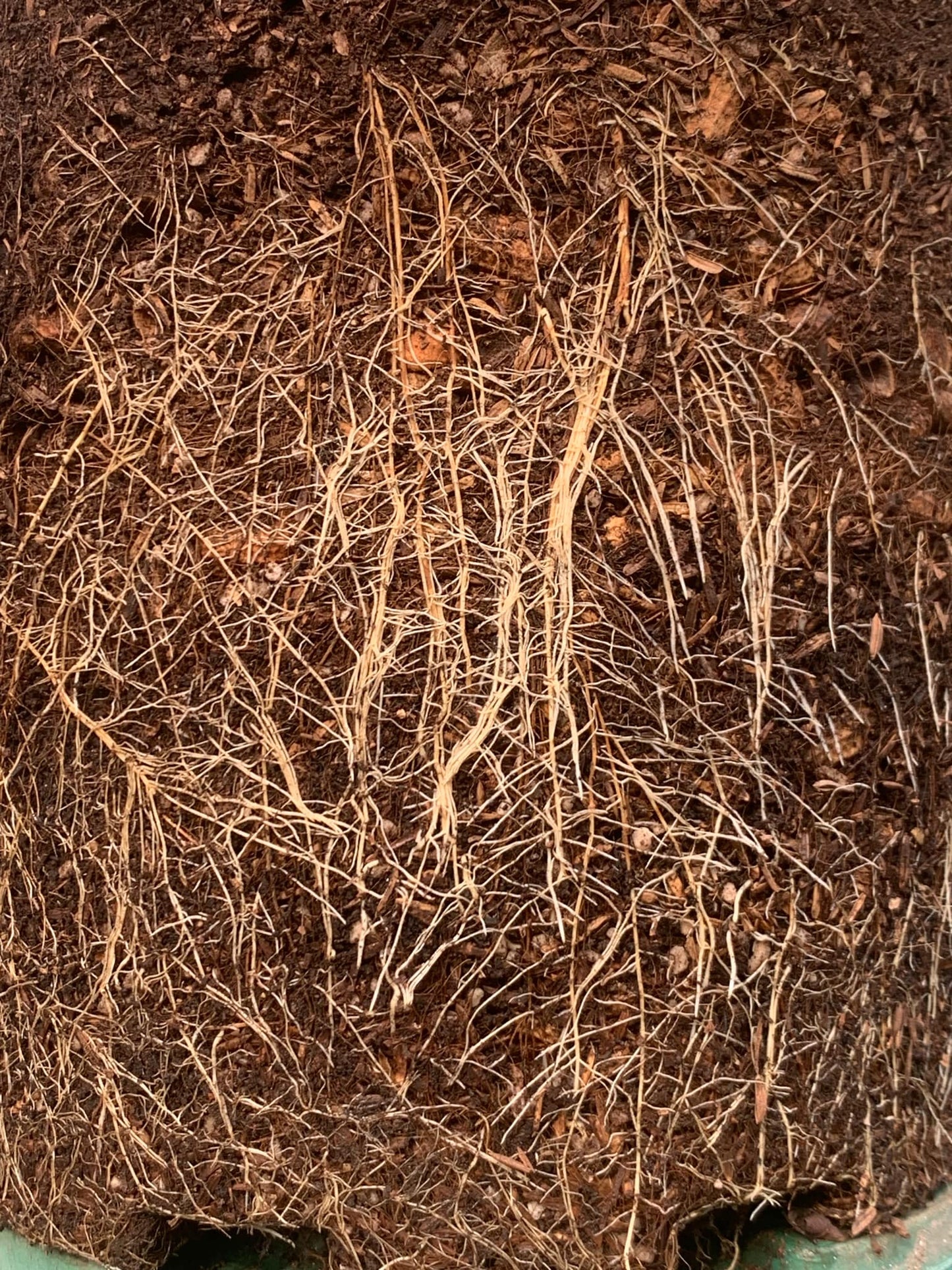 Mixed Potting Soil for Roses