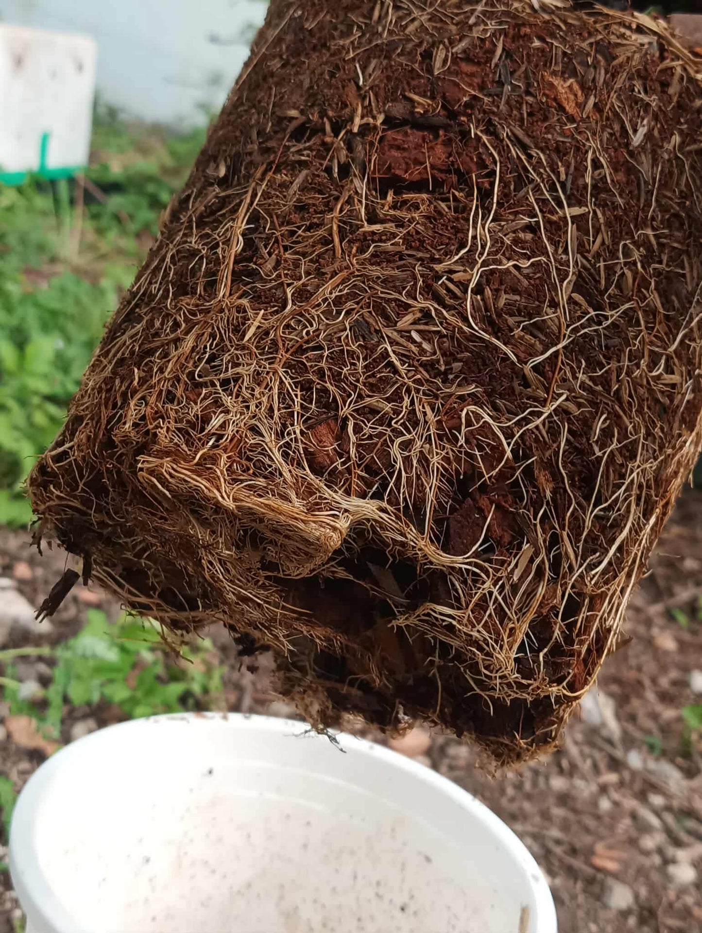 Mixed Potting Soil for Roses