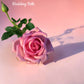 Wedding Bells