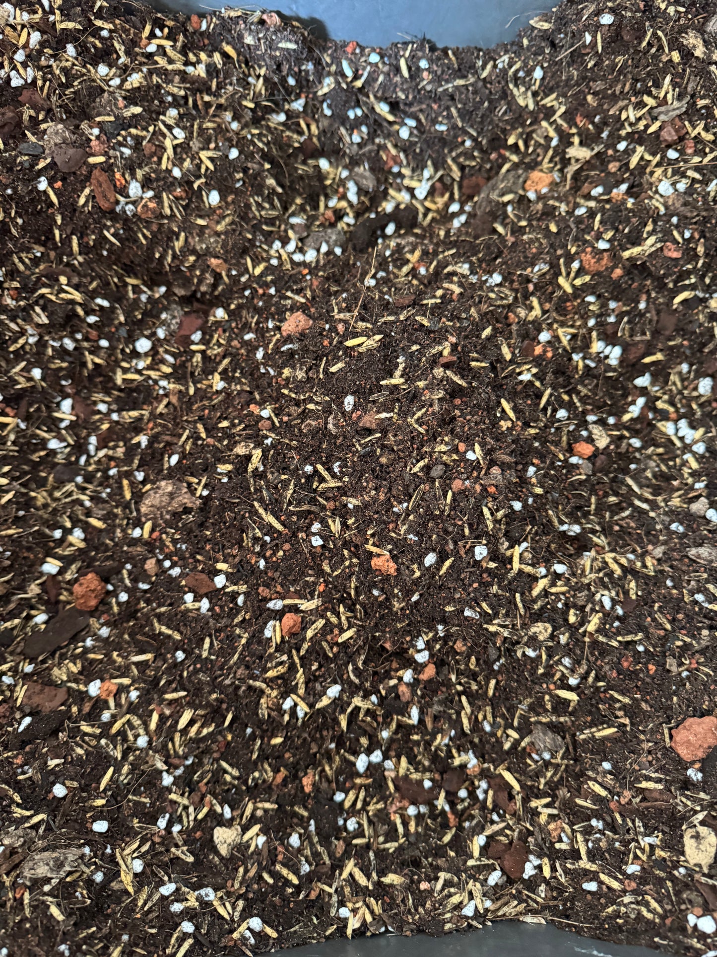 Mixed Potting Soil for Roses