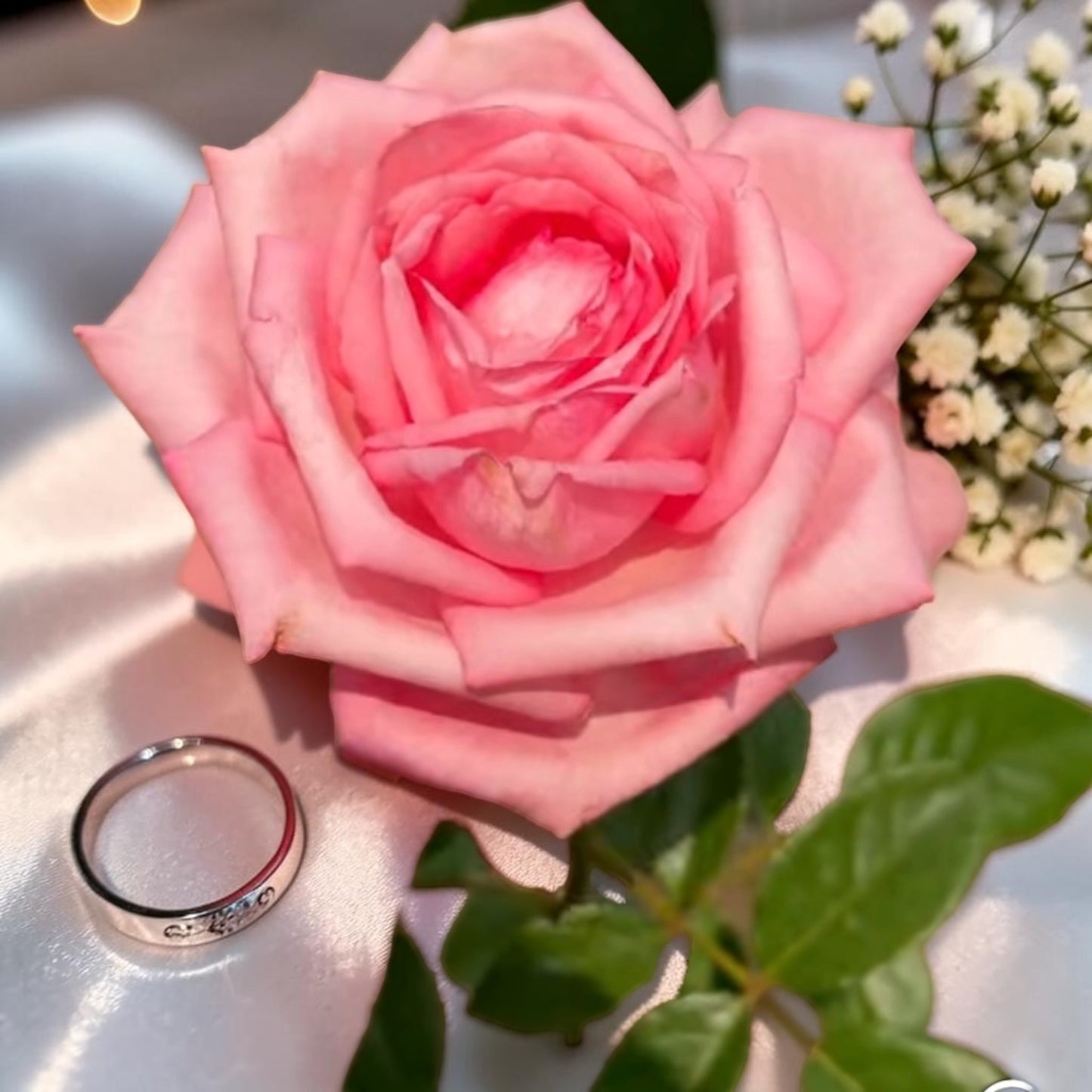 Wedding Bells
