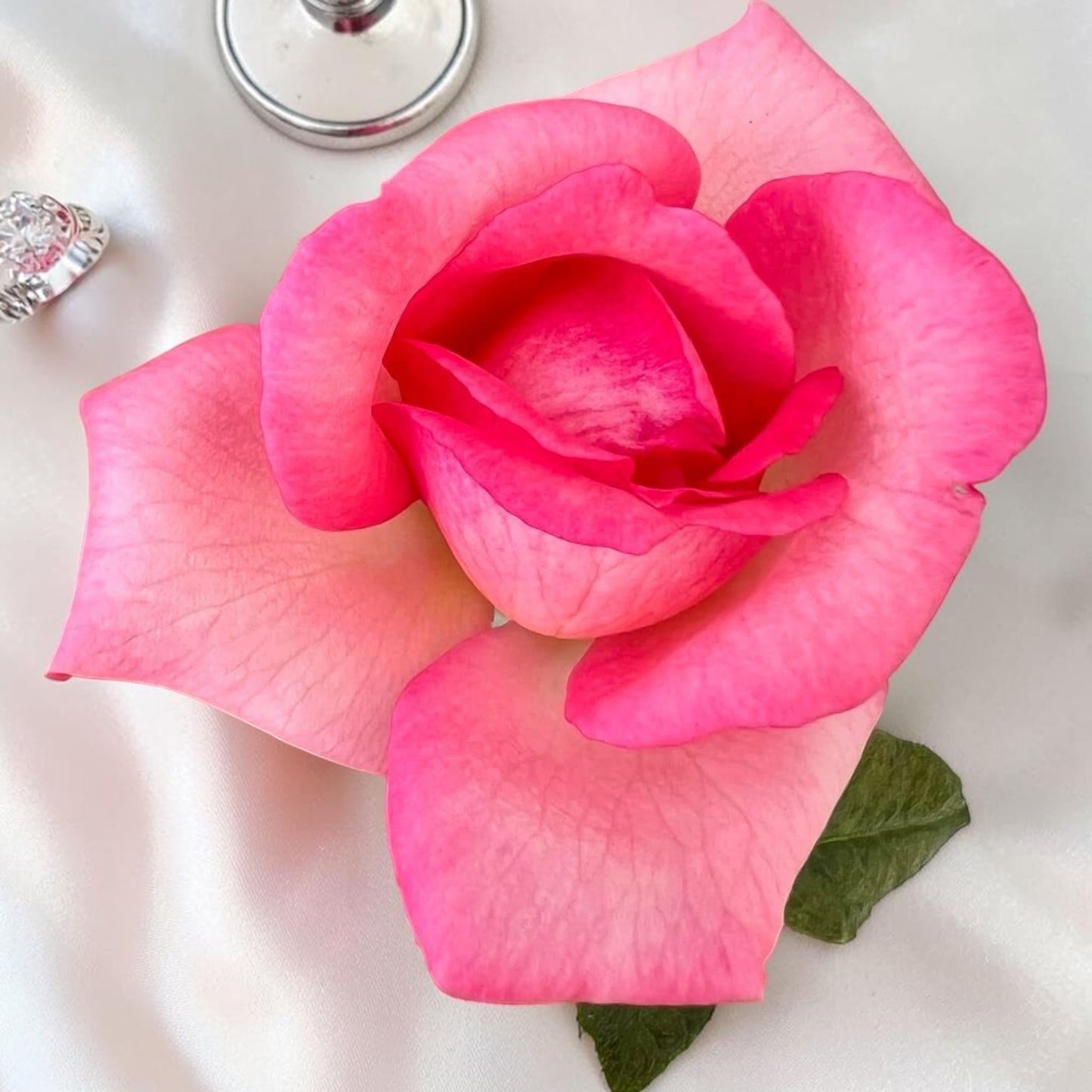 Wedding Bells
