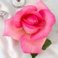Wedding Bells