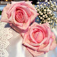 Wedding Bells
