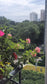 Buviplant Tabletta- Vitamin Rose Tablet