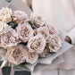 Blushing Beauties 2023 (Bundle of 4 with discount & free delivery)